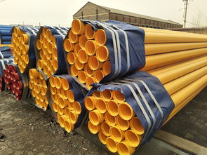 热浸涂塑钢管的卓越性能优势及其与新型塑料管材的对比分析